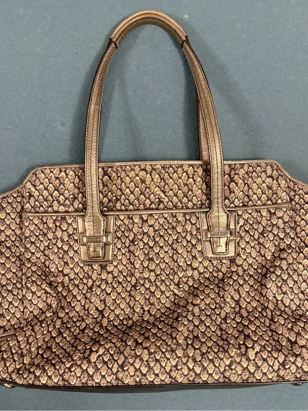 Coach Madison Zebra Print Small Madeline Satchel F2663